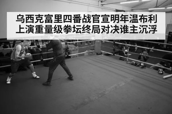 boxer training gym